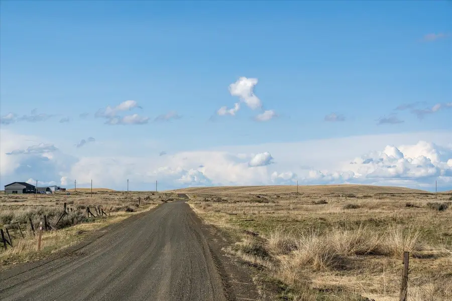 XX N Coal Springs Rd, Davenport, WA 99122 - Image #3