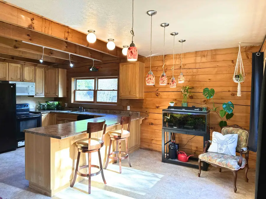 3979 Taylor Ranch Way, Loon Lake, WA 99148 - Image #3