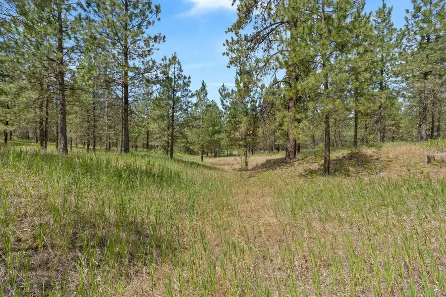 5285 Hwy 231, #d Hwy, Ford, WA 99013 - Image #3