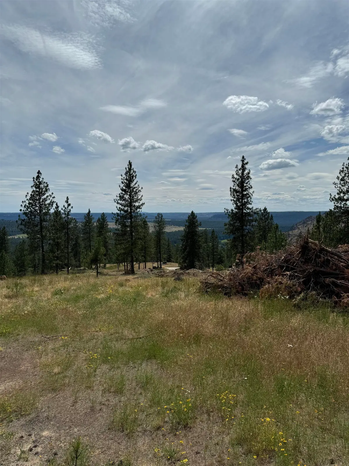 14924 N Cliff Ln, Spokane, WA 99208 - Image #1