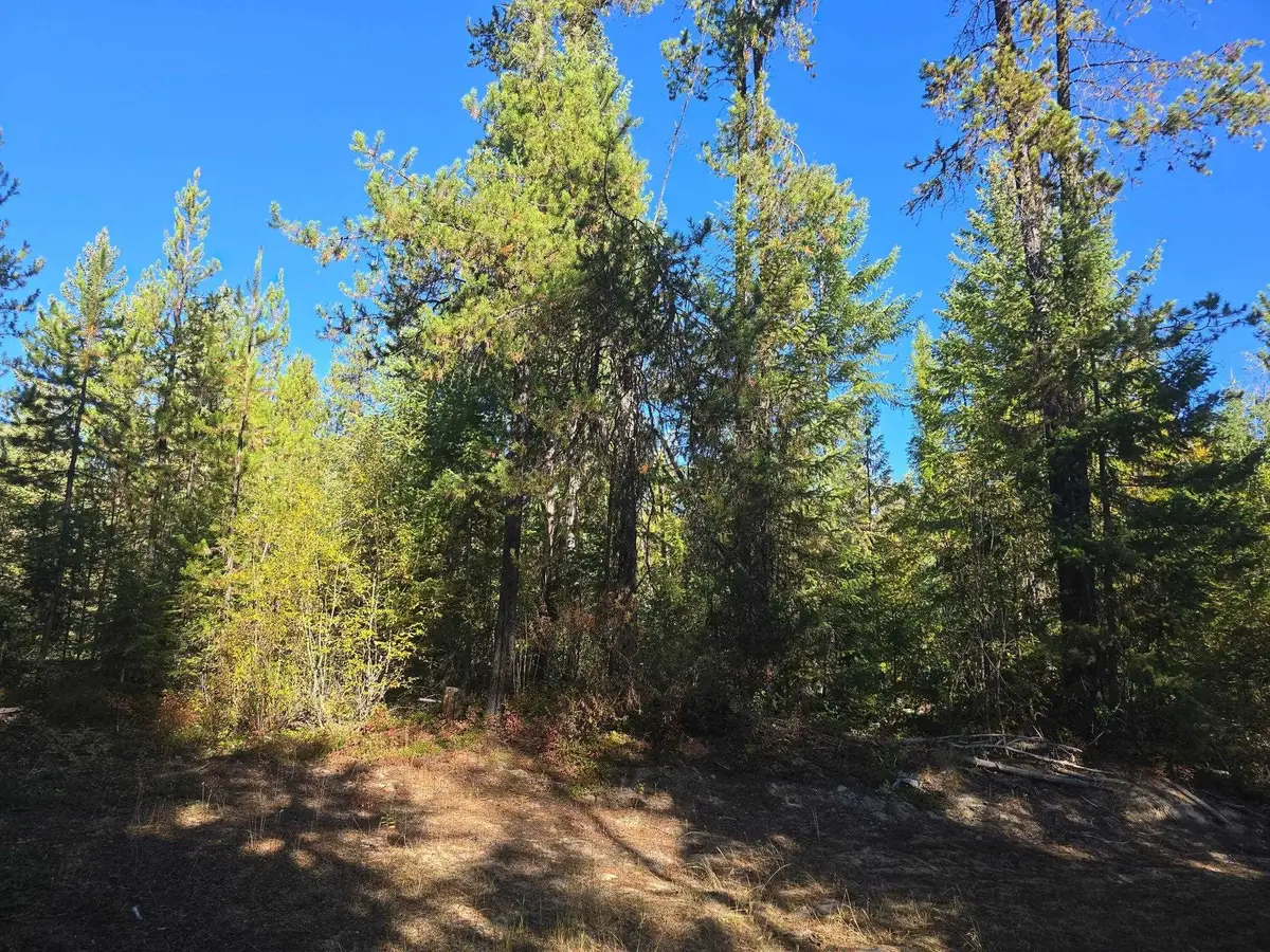 XXX Red Tail Way, Colville, WA 99114-0000 - #1