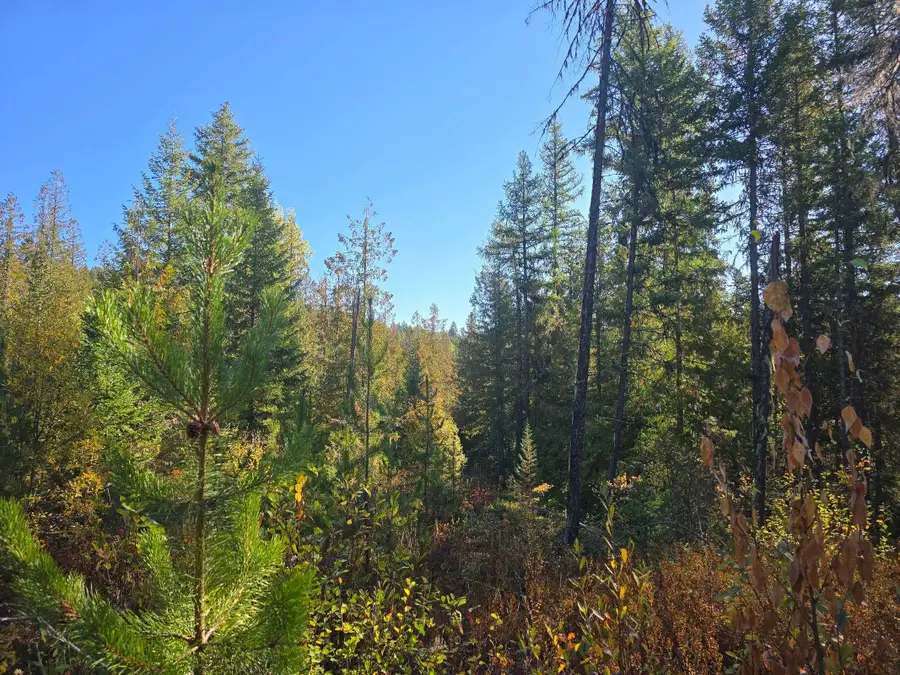 XXX Red Tail Way, Colville, WA 99114-0000 - #2