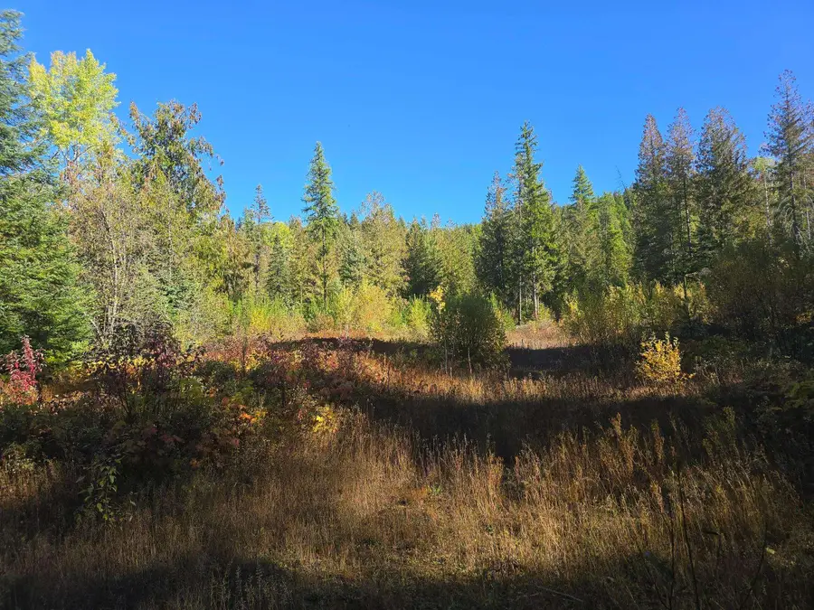 XXX Red Tail Way, Colville, WA 99114-0000 - #3