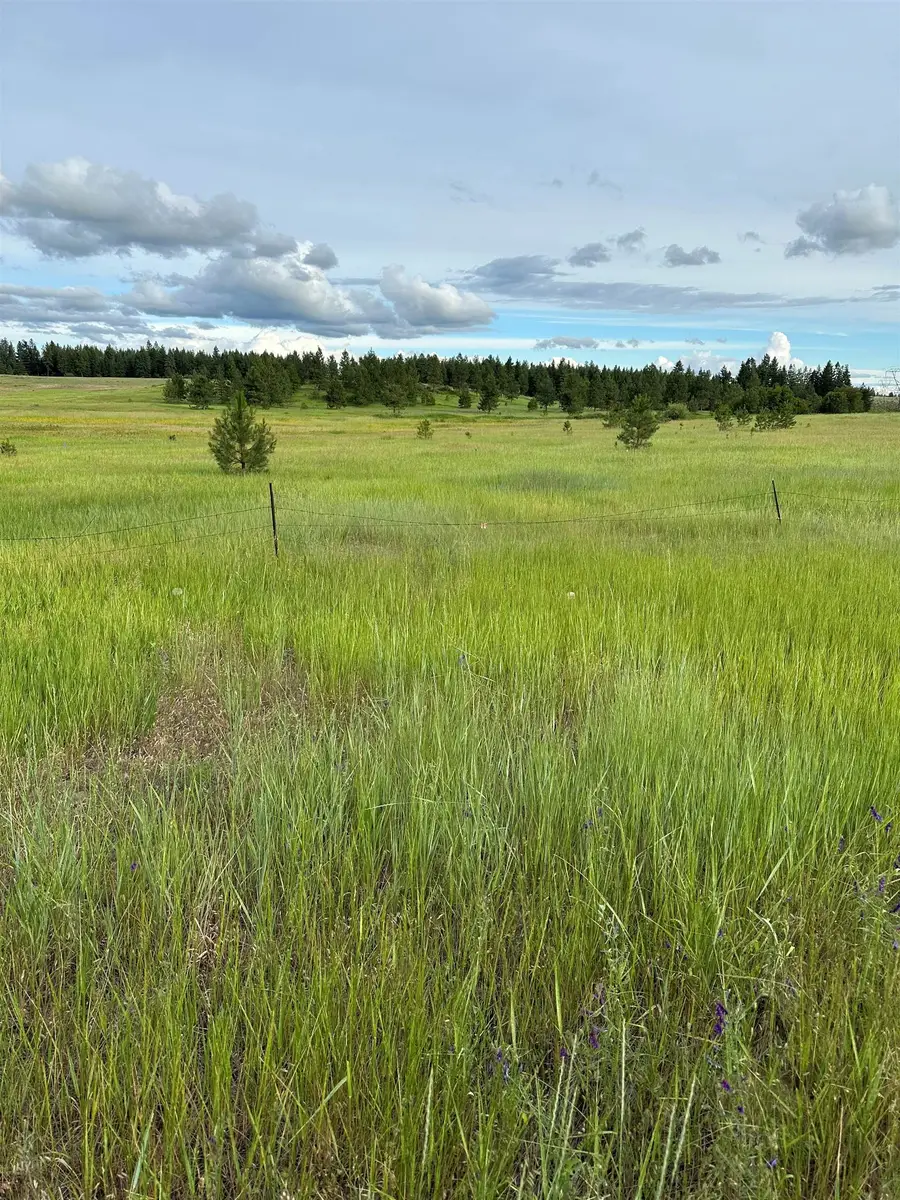 N Whitetail Lane Gg Ln, Chattaroy, WA 99003 - Image #2