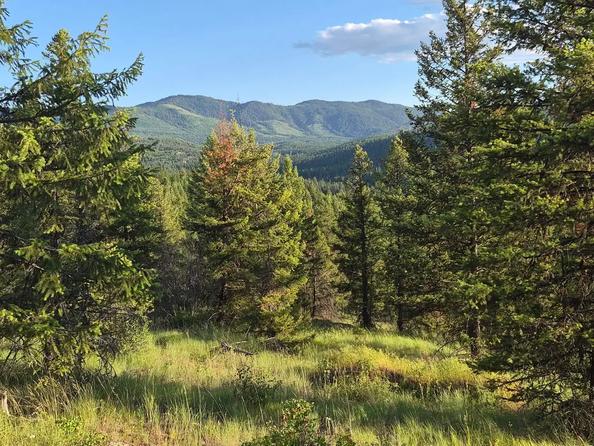 2094 Clugston Onion Creek Rd, Colville, WA 99114 - #1