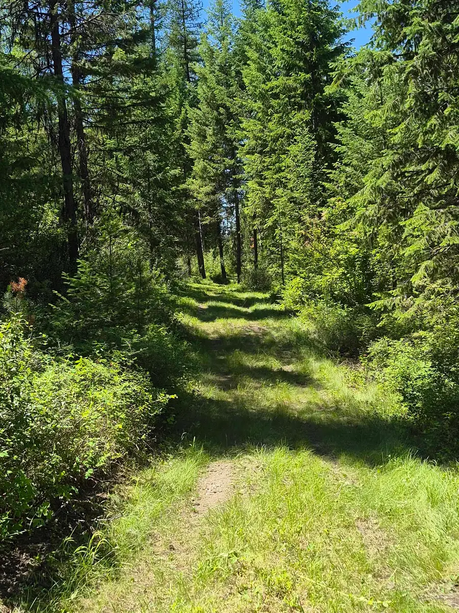 2094 Clugston Onion Creek Rd, Colville, WA 99114 - #3