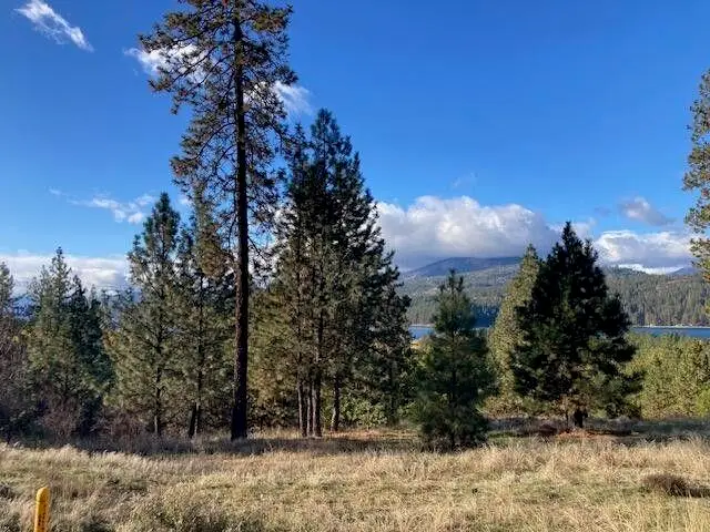 1351 Lake Roosevelt Way, Kettle Falls, WA 99141 - Image #3