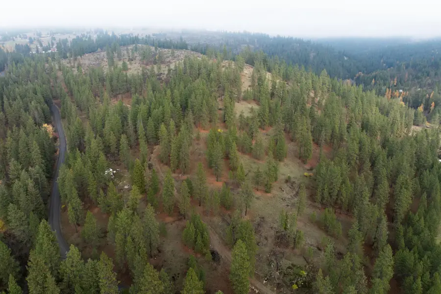 194XX Holcomb Rd, Mead, WA 99021 - Image #2