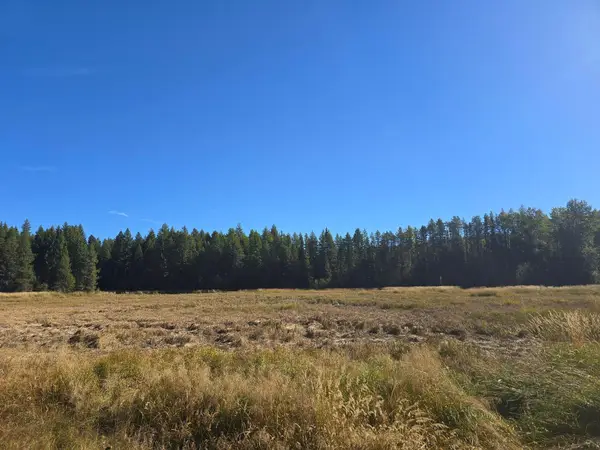 2XXX Quinns Meadow Rd, Colville, WA 99114-0000