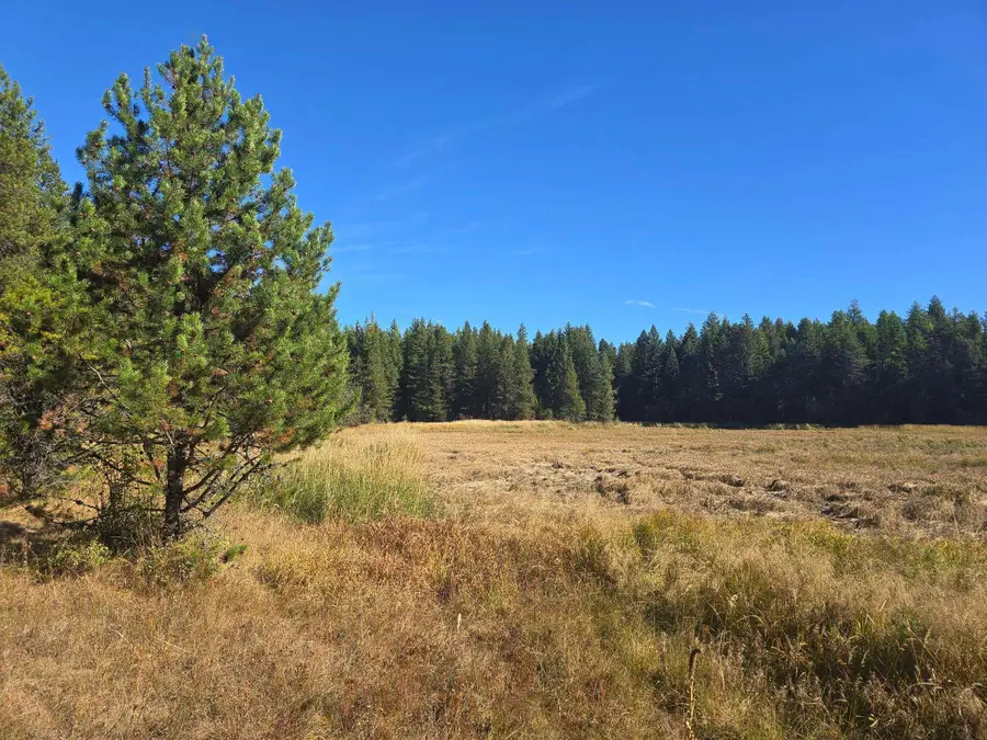 2XXX Quinns Meadow Rd, Colville, WA 99114-0000 - #2