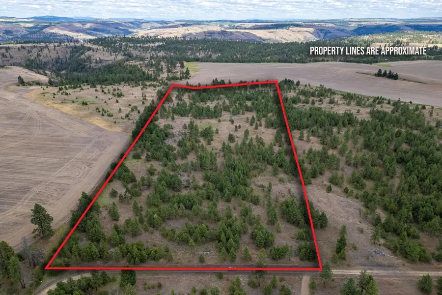 35470 N Prairie Ln, Creston, WA 99117 - #2