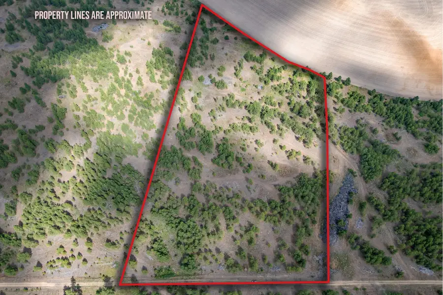 35430 N Prairie Ln, Creston, WA 99117 - Image #2