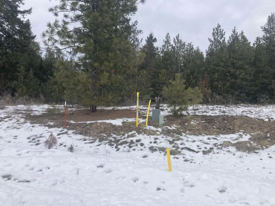 39941 Loon Lake Ct, Loon Lake, WA 99148 - Image #2