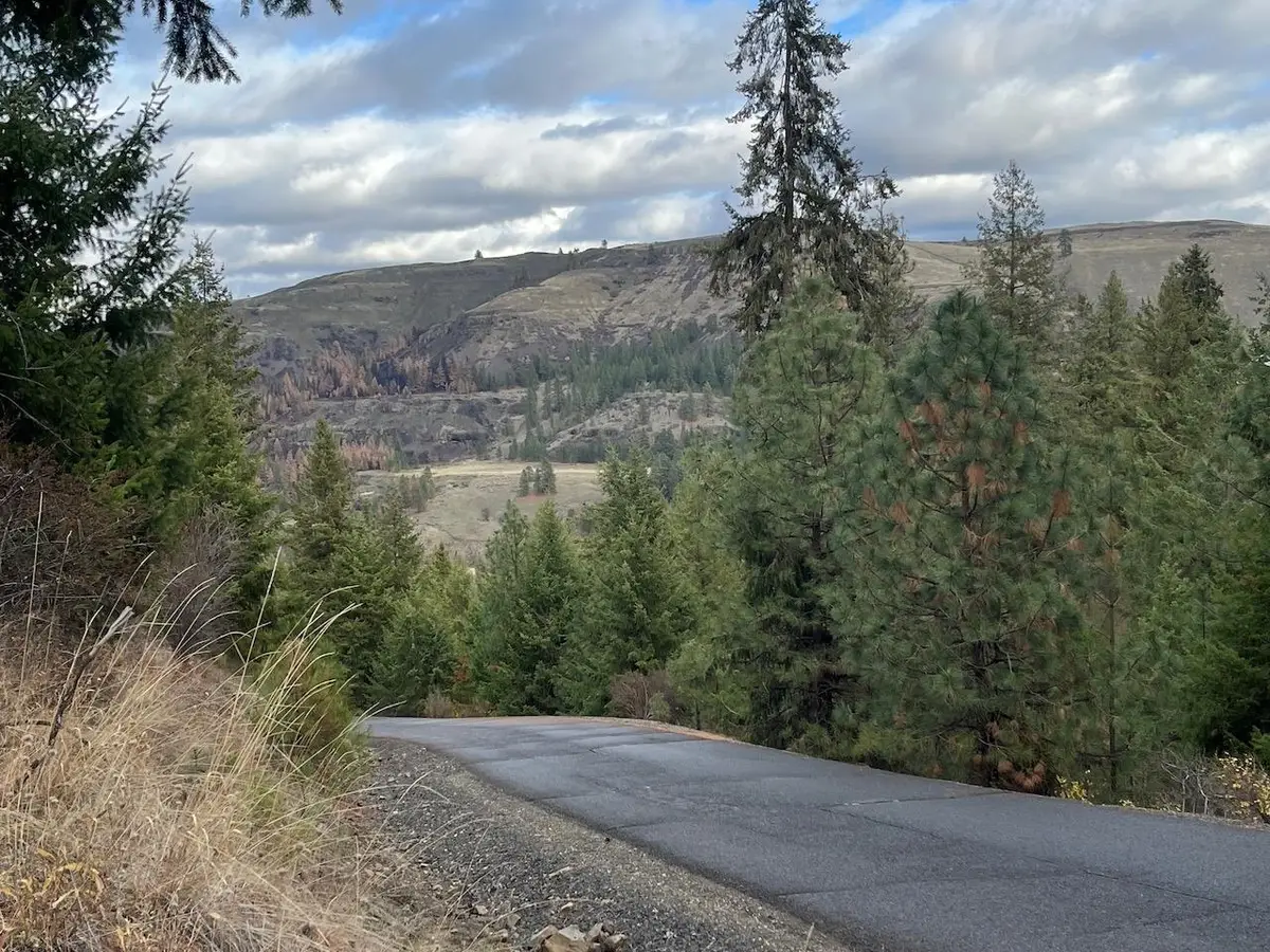 Lot 15&16 N Chuckar Ln, Davenport, WA 99122 - Image #1