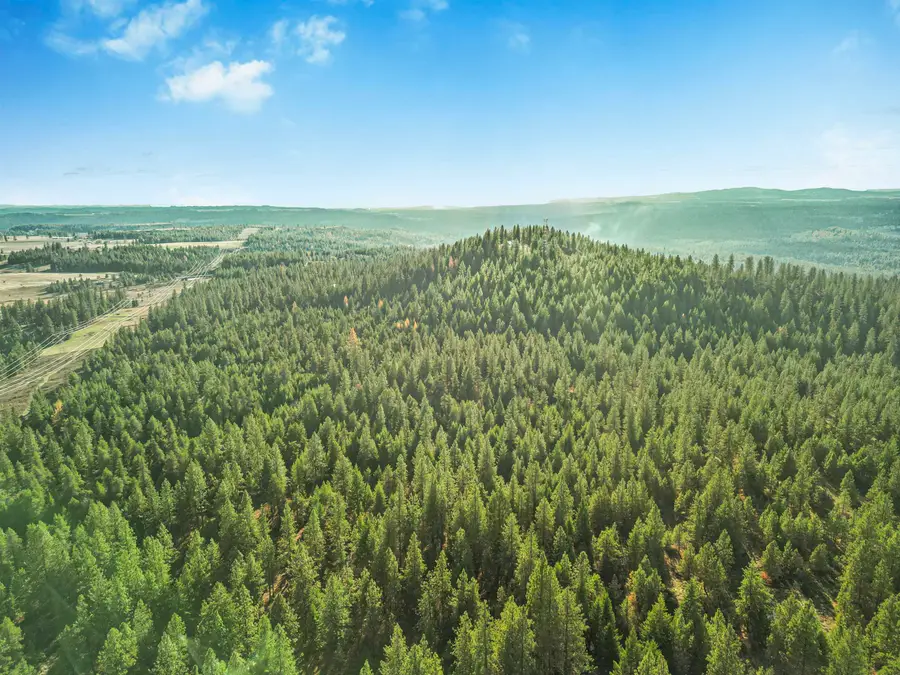 XXX N Waldrons Ln, Chattaroy, WA 99003 - Image #3