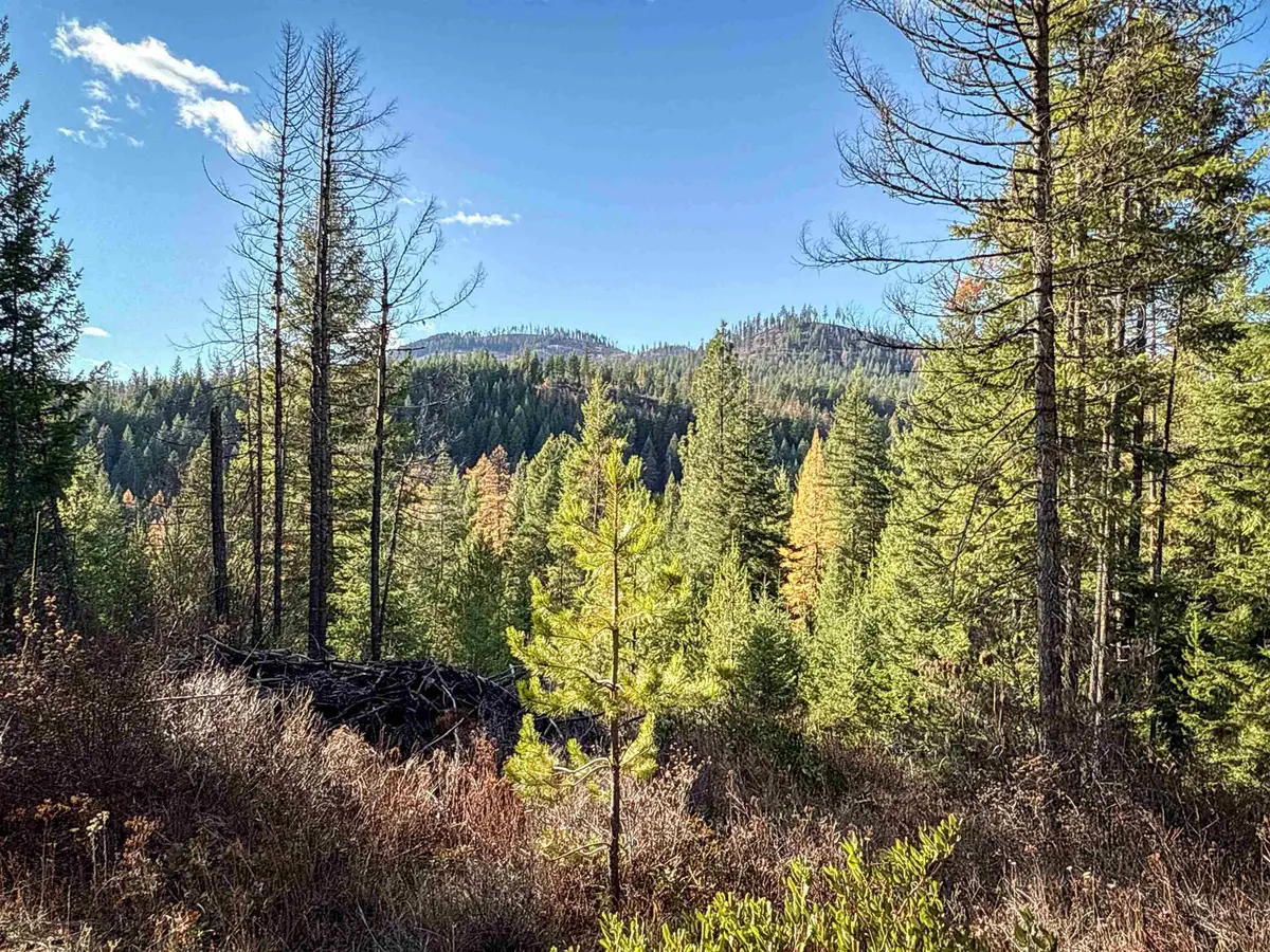 TBD Olinger (hammer) Rd, Springdale, WA 99173 - Image #1