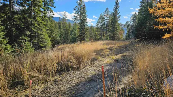 717 B Finley Gulch Rd, Colville, WA 99114