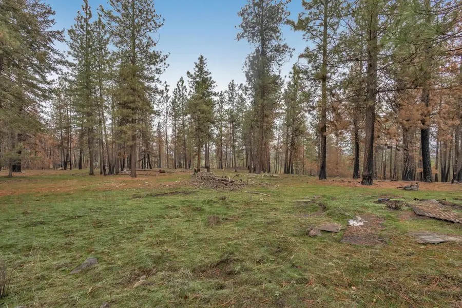 15817 Coyote Ridge Ln, Ford, WA 99013 - Image #2