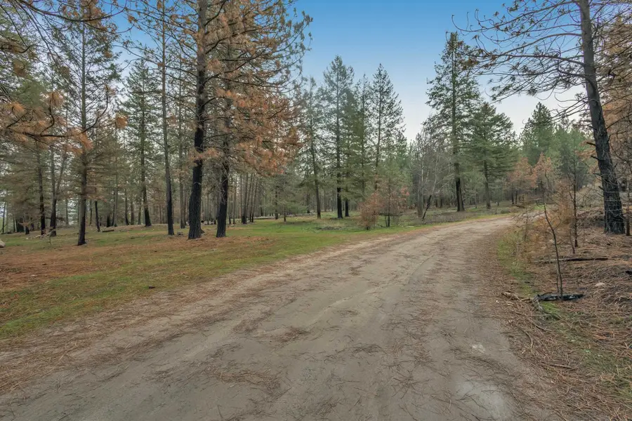 15817 Coyote Ridge Ln, Ford, WA 99013 - Image #3