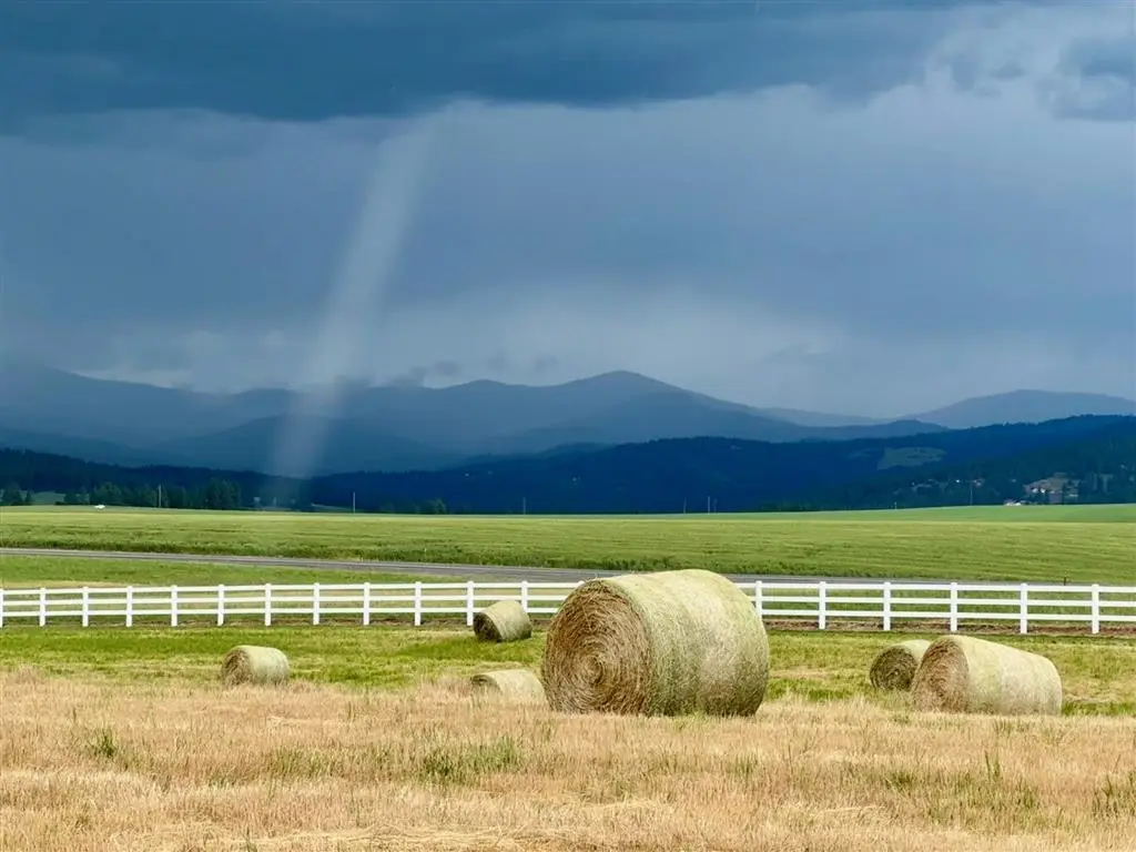 11317 N Bruce Rd, Spokane, WA 99217 - Image #1