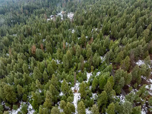 0 Quinns Meadow Rd, Colville, WA 99114