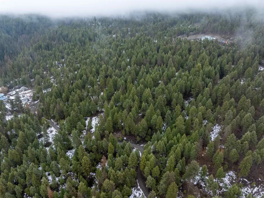 0 Quinns Meadow Rd, Colville, WA 99114 - Image #2