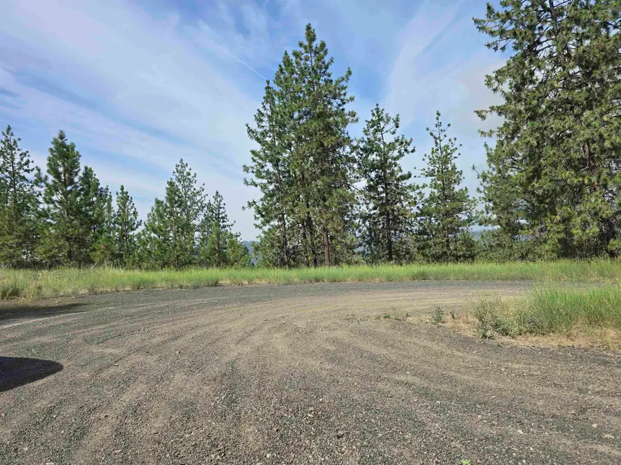 XX Syringa Way, Nine Mile Falls, WA 99026 - Image #3