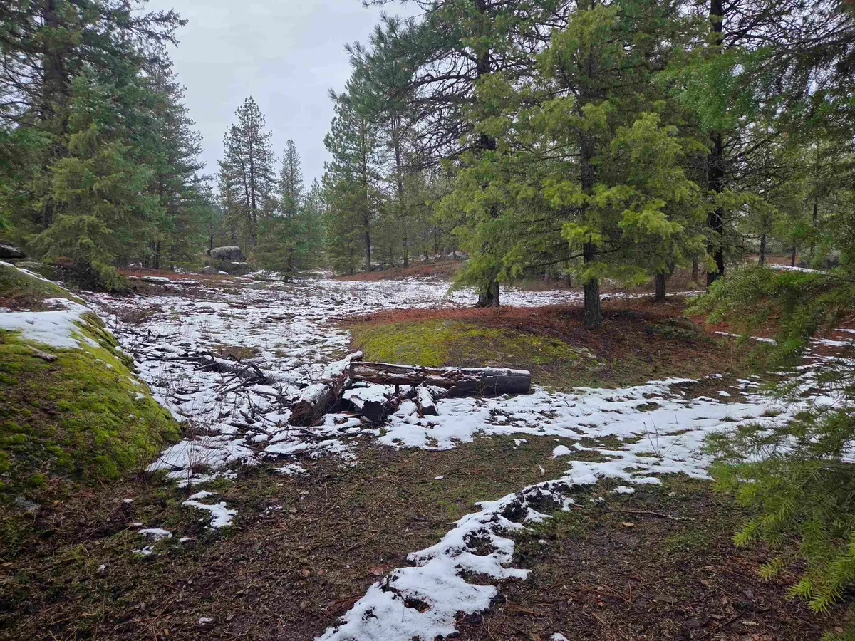 260 Slate Rd, Newport, WA 99156 - Image #1