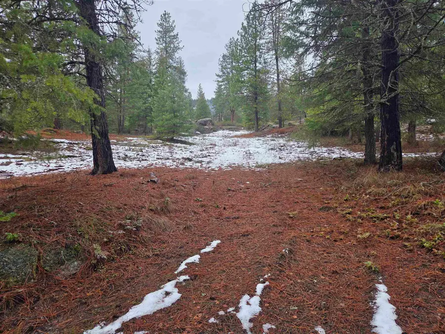 260 Slate Rd, Newport, WA 99156 - Image #2