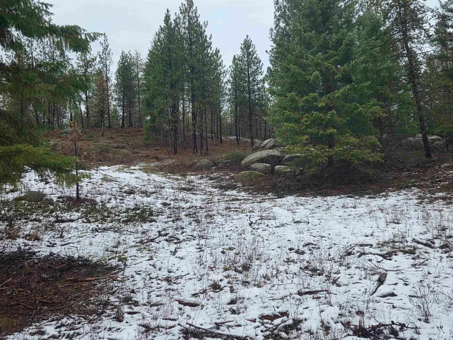 260 Slate Rd, Newport, WA 99156 - Image #3