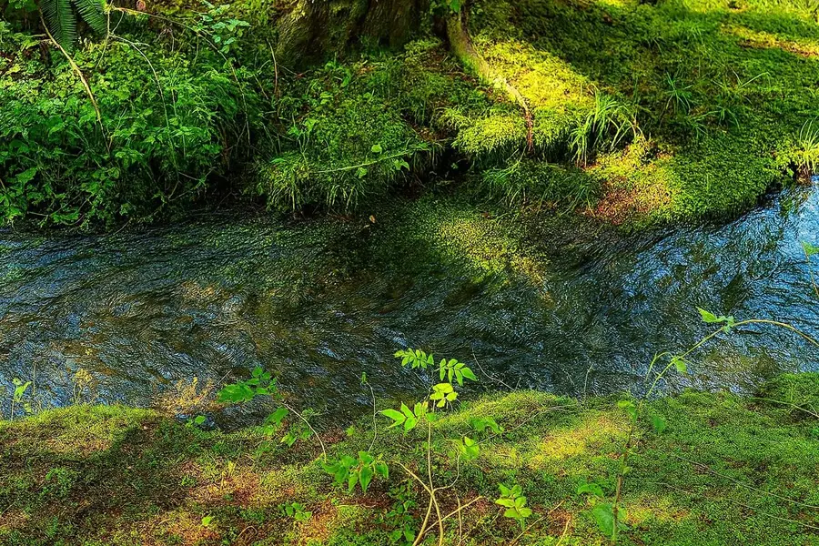 35xx Mountain View Rd, Chewelah, WA 99109 - Image #3