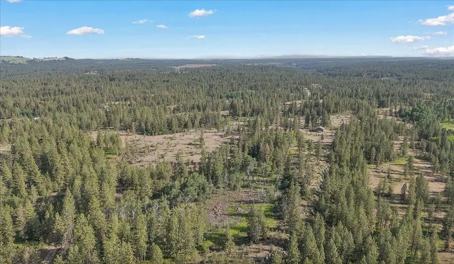 5339 W Anderson Rd, Cheney, WA 99004 - Image #3