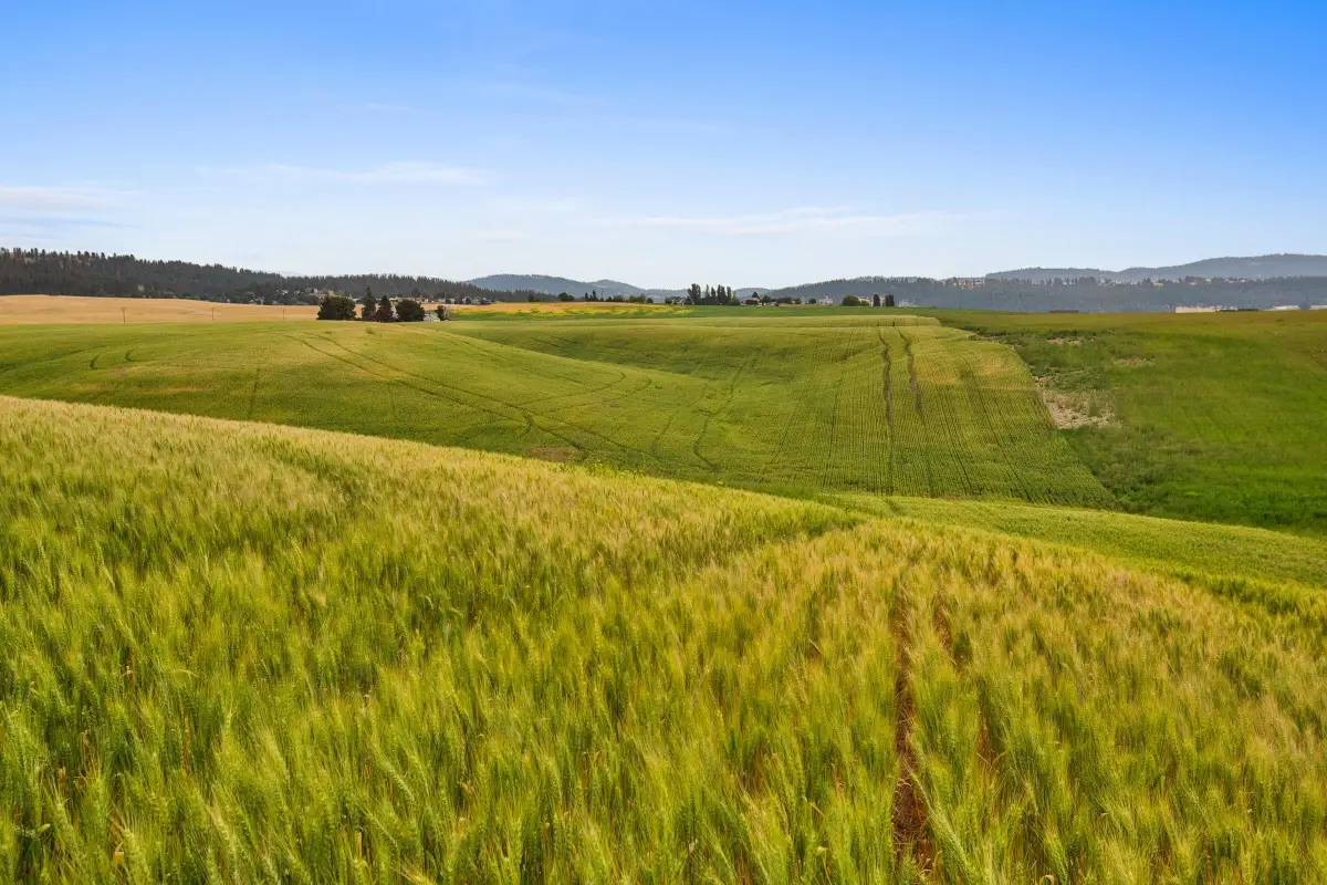 NKA N Bruce Rd, Spokane, WA 99021 - Image #1