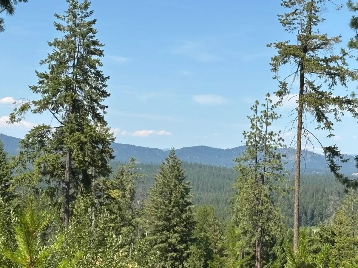 34711 N Waldrons Ln, Chattaroy, WA 99003 - Image #1