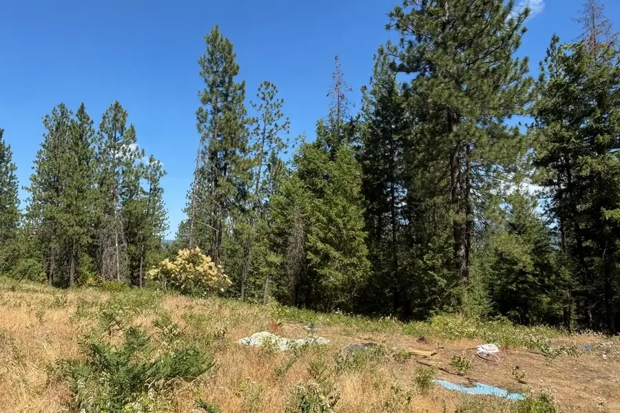 34711 N Waldrons Ln, Chattaroy, WA 99003 - Image #3