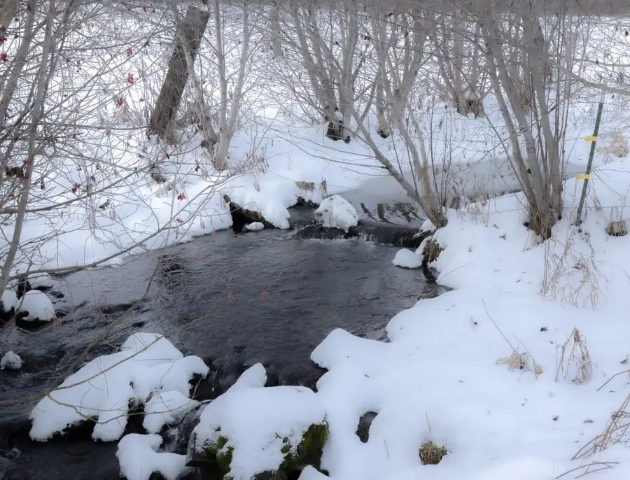 343XX N Spotted Rd, Deer Park, WA 99006 - Image #3