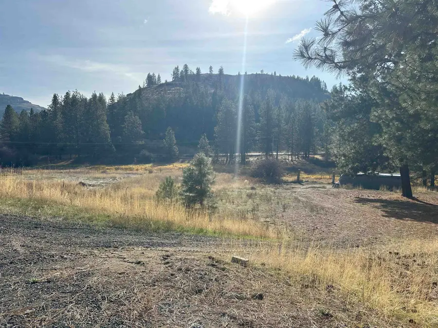 256XX E Pine Cone E Ct, Lincoln, WA 99147 - Image #3