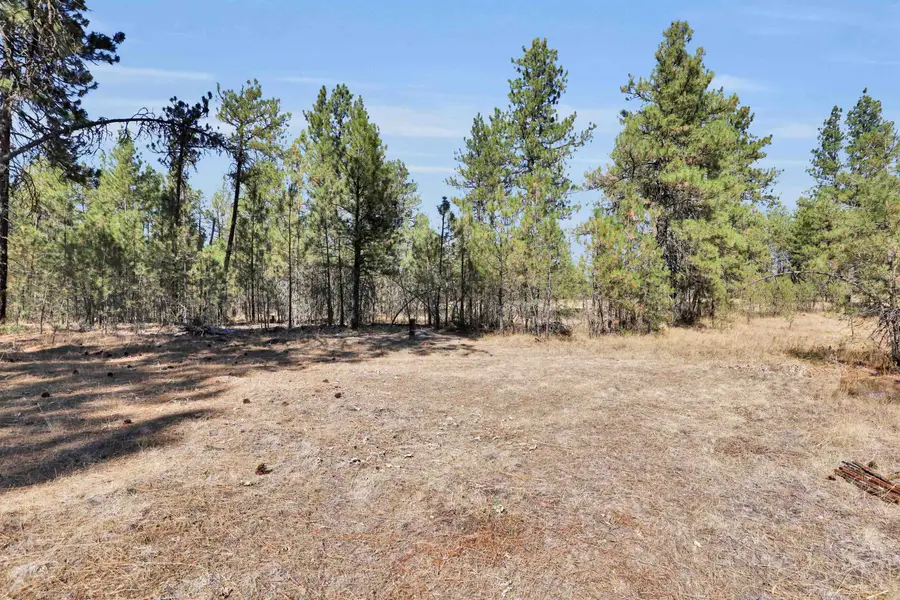 16619 S Sherman Rd, Cheney, WA 99004 - Image #3