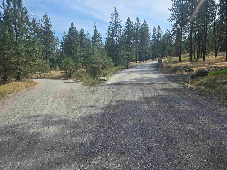 XX Pine Ridge Way, Nine Mile Falls, WA 99026 - #3