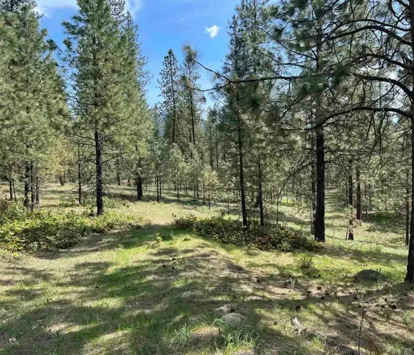 Lot #2 N Junco Way, Kettle Falls, WA 99141