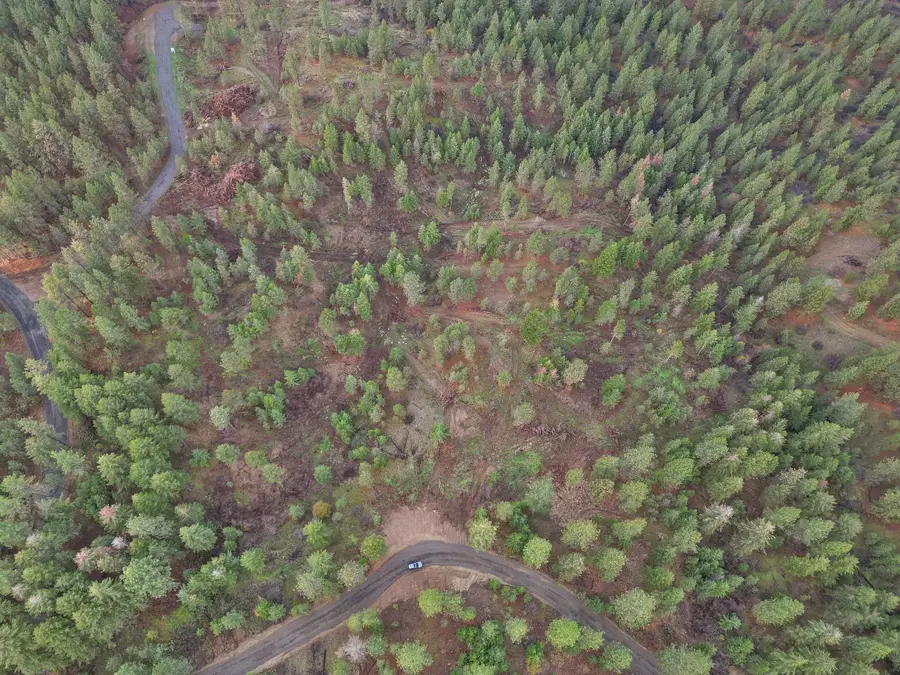 NKA Weaver Way, Deer Park, WA 99006 - Image #3