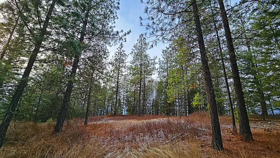 26XX B Burnt Valley Rd, Chewelah, WA 99109-0000 - Image #3