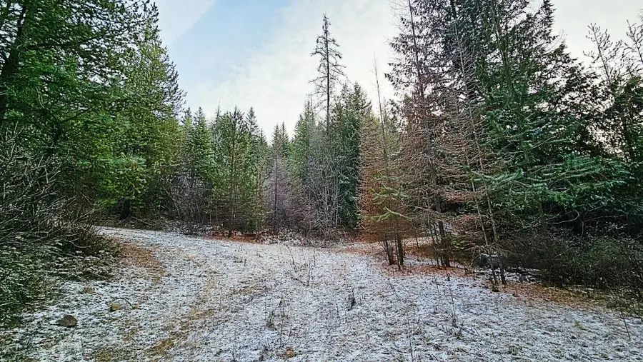 26XX C Burnt Valley Rd, Chewelah, WA 99109-0000 - Image #2