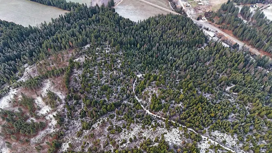 26XX C Burnt Valley Rd, Chewelah, WA 99109-0000 - Image #3