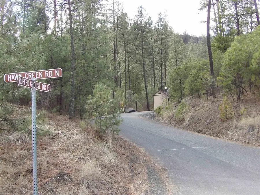 Tract E Meadow Lane Rd, Davenport, WA 99122 - #2