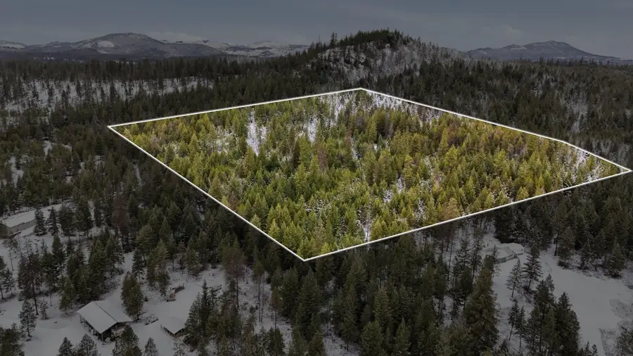 xxx Lumberg Rd, Valley, WA 99181 - Image #2