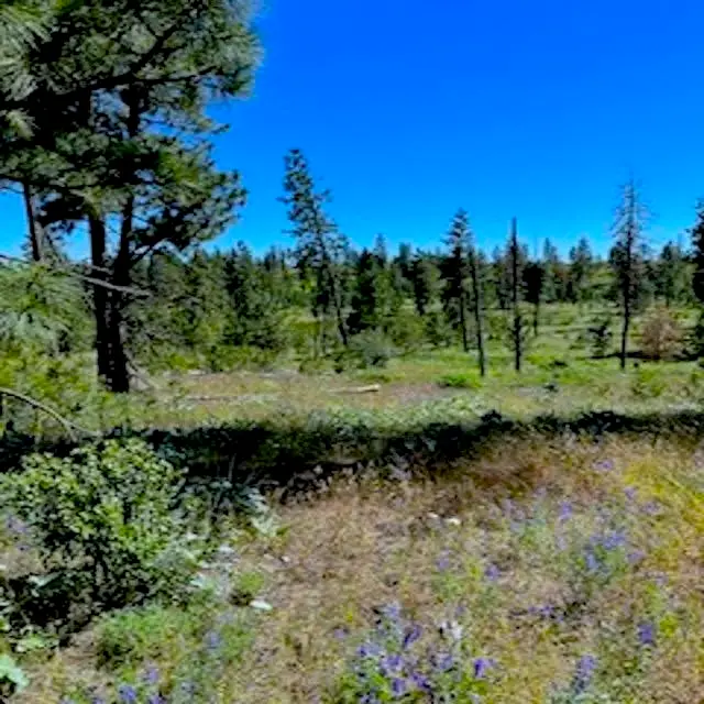 Lot A Kronos Short Plat/pine Hen Ln, Davenport, WA 99122 - Image #3