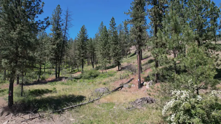 5550 Scotts Valley Rd, Deer Park, WA 99006 - Image #2