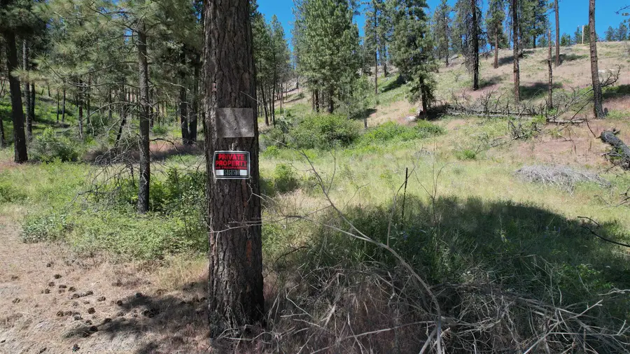 5550 Scotts Valley Rd, Deer Park, WA 99006 - Image #3