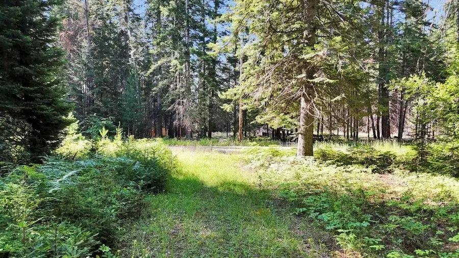 238 Rustic Rd, Cusick, WA 99119 - Image #2
